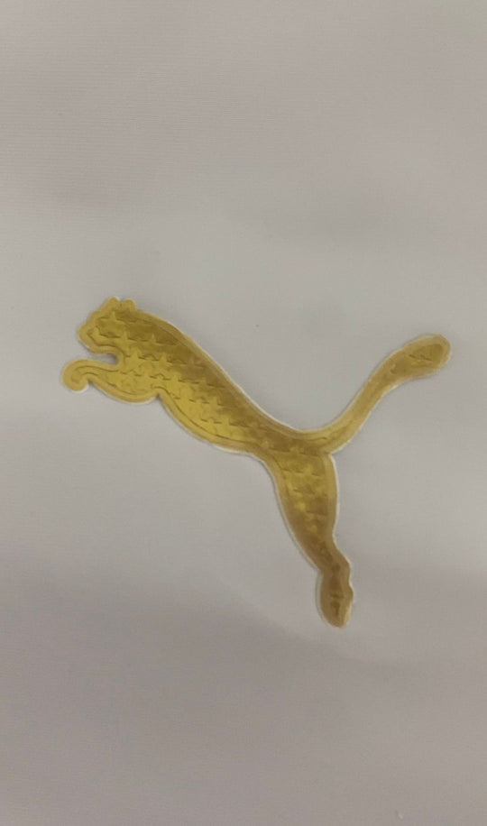 Corta Vento Puma Palmeiras Branca 2025/26